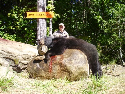 Harry Hakes black bear