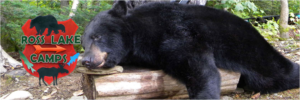 Maine bear hunting, ice fishing, mosse hunting Ross Lake Camps ME