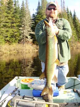 Maine Muskie