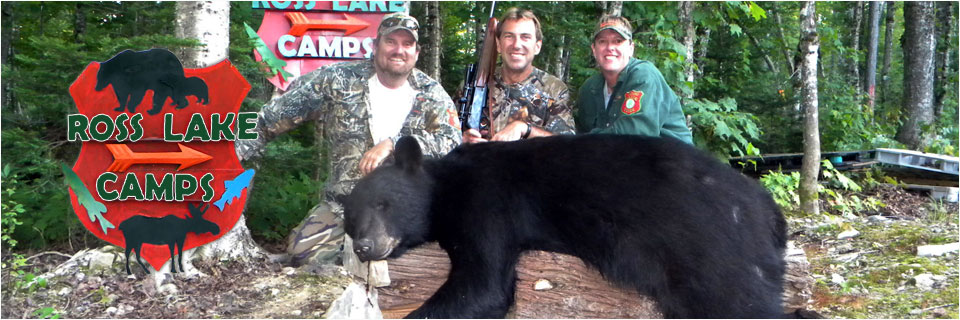 Bear, Moose and Deer Hunting in Maine
