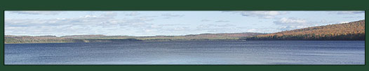 Bear, Moose and Deer Hunting in Maine