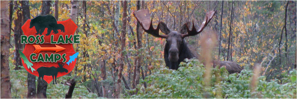 Ross Lake Camps Maine hunting sporting camp black bear, moose, grouse, ice fishing, lake trout, snowmobiling