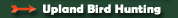 Wild Birds