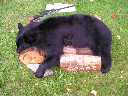 bearhuntingcamp
