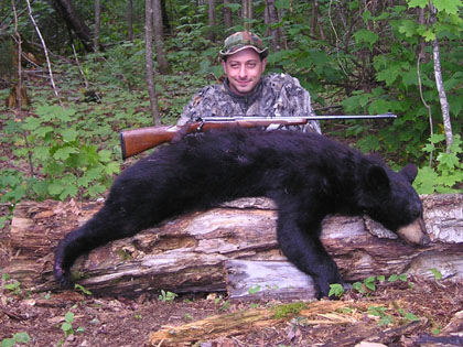 bearoverbait