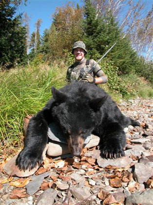 bigbear