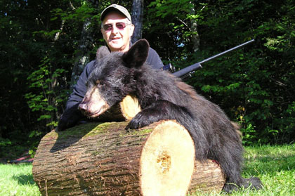 bigmainebears