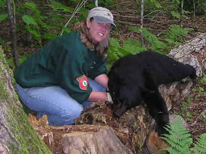 bl-bear