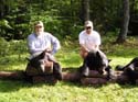 guideforbearhunt