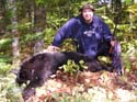 record Maine black bear
