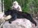 Maine Black Bear Hunt 2008 (12)