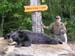 Maine Black Bear Hunt 2008 (22)