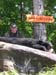 Maine Black Bear Hunt 2008 (3)