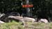 Maine Black Bear Hunt 2008 (30)