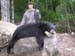 Maine Black Bear Hunt 2008 (40)