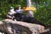 Maine Black Bear Hunt 2008 (41)