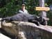 Maine Black Bear Hunt 2008 (59)