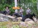 Maine Black Bear Hunt 2008 (62)