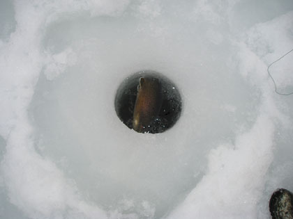icefishinghole