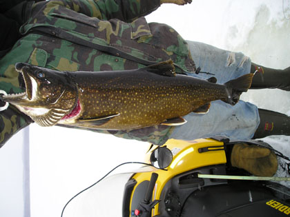 icefishingtackle
