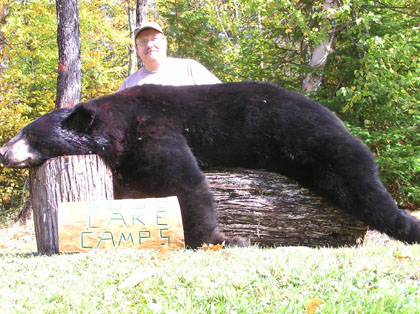 MASTC-black-bear