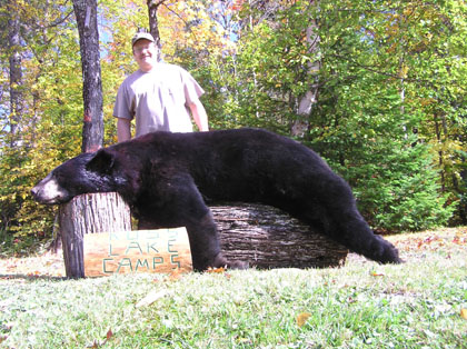 MASTCBear