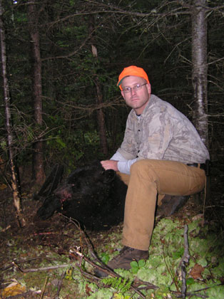 bearsnare