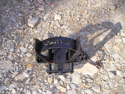 beartrap