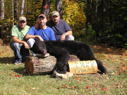 black-bear-trapping