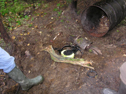 blackbeartrap