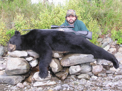 guidedbearhunt
