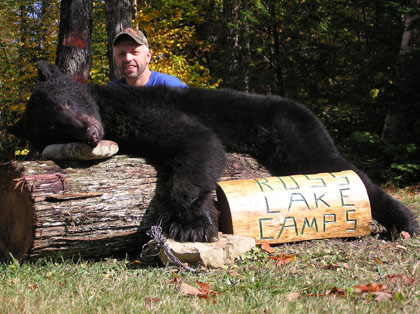 maine-bear-trapping