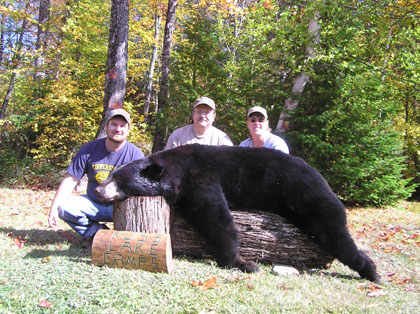 mainerecordbear