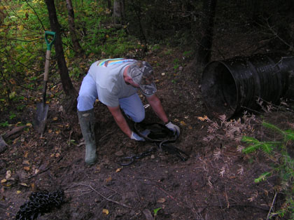 mainetrapping