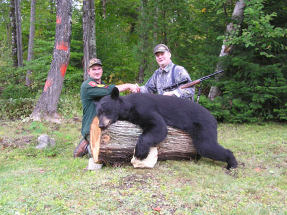 mainewoodsbears