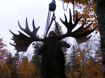 Trophy