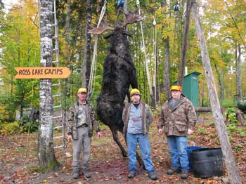 Trophy
