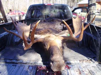 Trophy