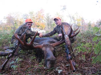 mainemoose