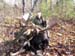 Trophy Maine Moose Hunting 2009 (63)
