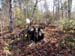 Trophy Maine Moose Hunting 2009 (65)