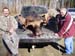 Trophy Maine Moose Hunting 2009 (67)