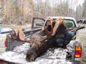 mooseseason