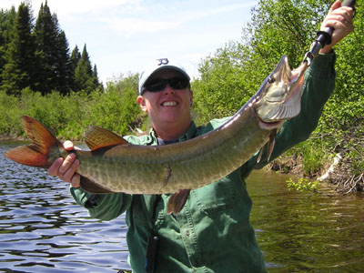 big-muskie