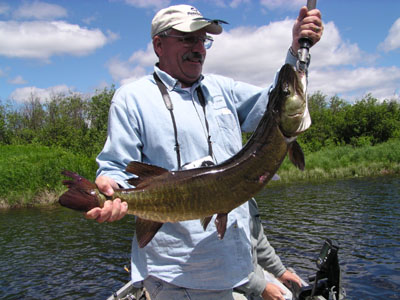 bigfish