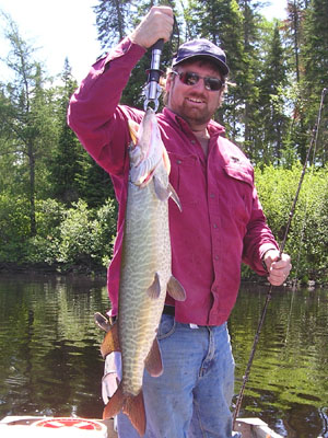 eastern-muskie