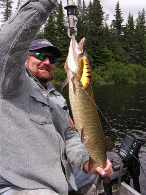 guided-muskie-fishing
