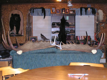 booncrocketantlers
