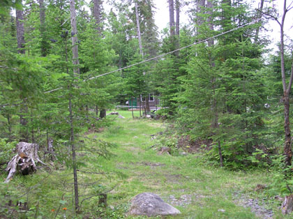 wilderness