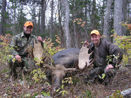 mainemooseguides